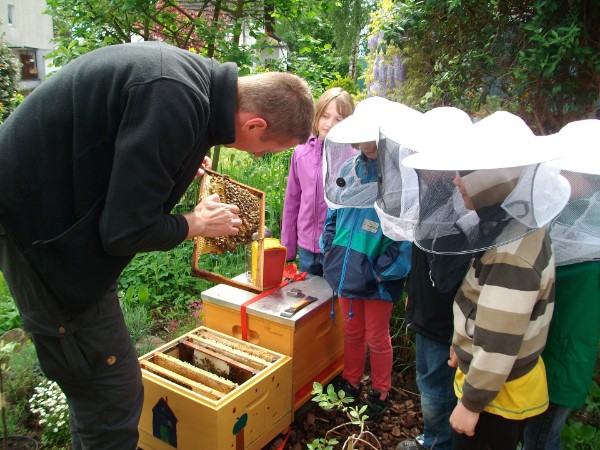 Garten-AG der PHS zu Besuch an den Bienenstöcken