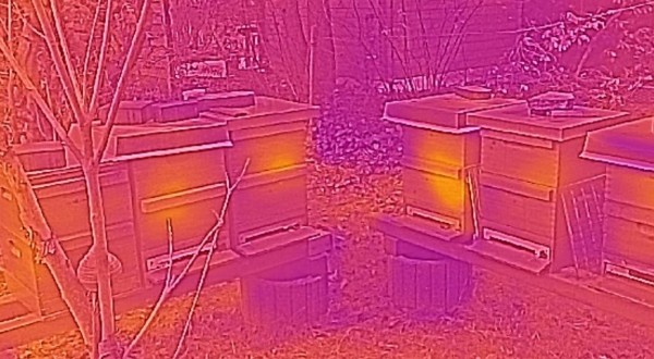 Wärmebildaufnahme eines Bienenstocks im Winter