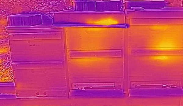 Zweite Wärmebildaufnahme der Bienenbeuten